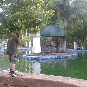 Squirrel cage on an island