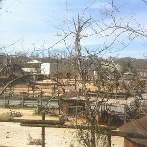 4/2/2013 - Grasslands Africa