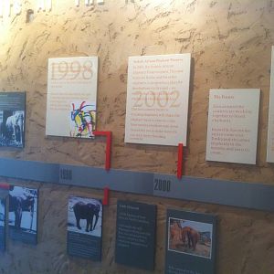 4/2/2013 - Knoxville Zoo Elephant Timeline