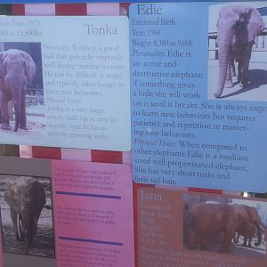 4/2/2013 - Elephant Herd Info Sign