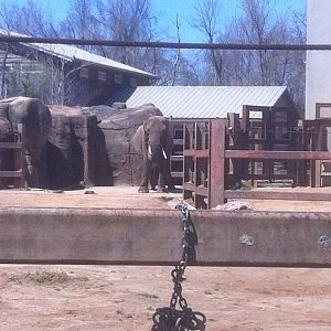 4/2/2013 - Stokely African Elephant Preserve - Exhibit 2