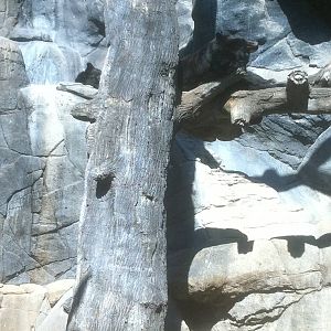 4/2/2013 - Black Bear Falls