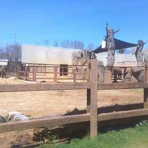 4/2/2013 - Stokely African Elephant Preserve - Exhibit 2