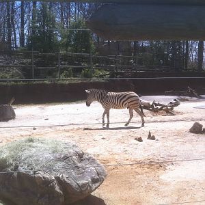 4/2/2013 - Zebra Pen