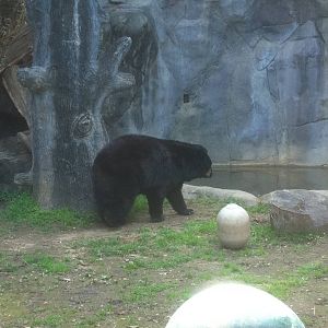 4/2/2013 - Black Bear Falls