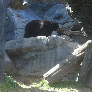 4/2/2013 - Black Bear Falls