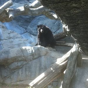 4/2/2013 - Black Bear Falls