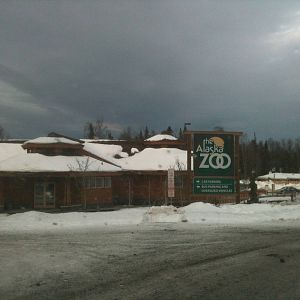 Alaska Zoo