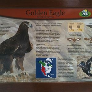 Golden Eagle Educational Sign