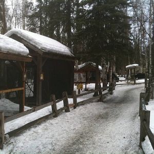 Small Birds Exhibits