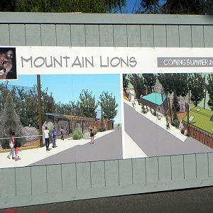 Sign on the fence in front of new mountain lion exhibit.