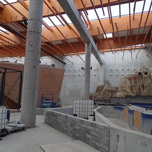 Afrykarium under construction