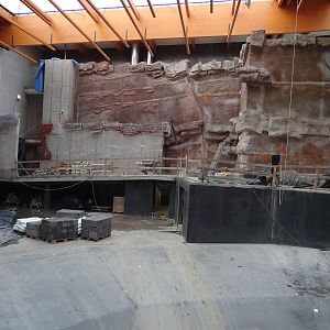 Afrykarium under construction