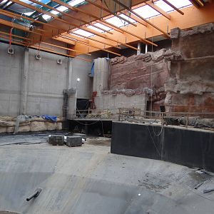 Afrykarium under construction