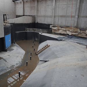 Afrykarium under construction