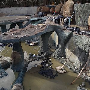 Afrykarium under construction