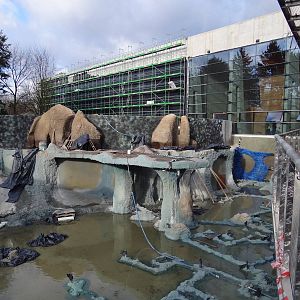 Afrykarium under construction