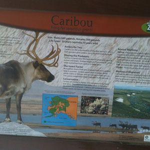 Caribou Education Sign