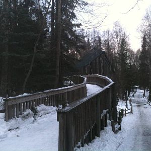 Boardwalk over American Black Bear and Bald Eagle Exhibits.