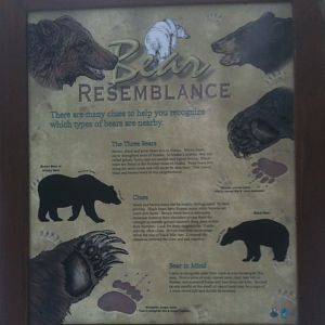 Alaskan Bears Educational Sign