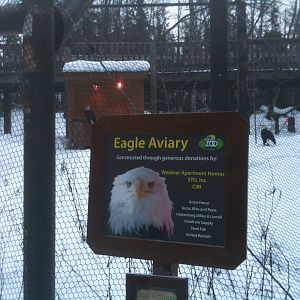 Bald Eagle Exhibit