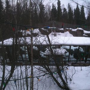Snow Leopard Exhibit