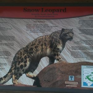 Snow Leopard Educational Sign