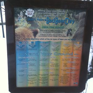 Bear Aware Educational Sign