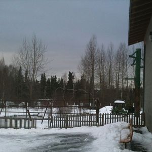 Former Elephant Yard