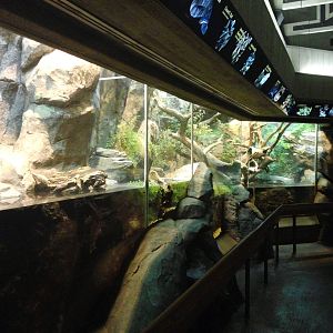 Streamside - Terraniums