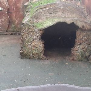 Raccon enclosure