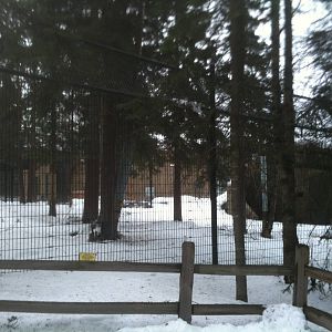 Wildlife Nursery/Rehab Holding Facility