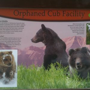 Orphaned Cub Facility Sign