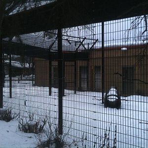 Nursery Facility/Infirmary