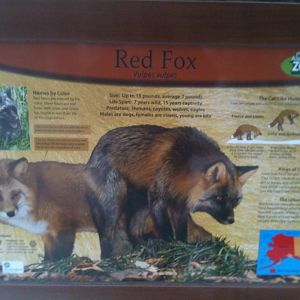 Red Fox Esucational Sign