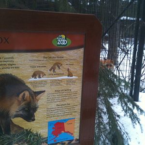 Red Fox - Exhibit & Sign