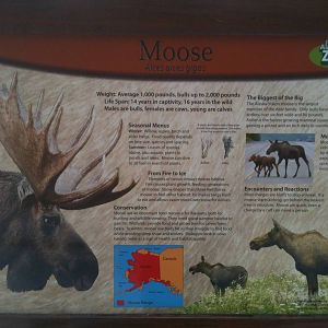 Moose Education Sign