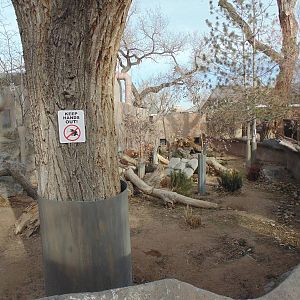Tasmanian Devil Exhibit
