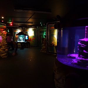 Claws exhibit, January 2014