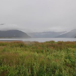 Head of Turnagain Arm near Bison Enclosures