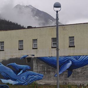 Funky Whale Mural on Cafe across street from ASLC.