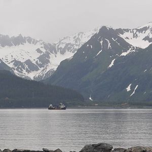 View of Resurrection Bay from SeaLife Center
