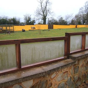 Emu and Western Grey Kangaroo enclosure