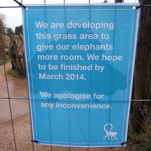 New Elephant developments