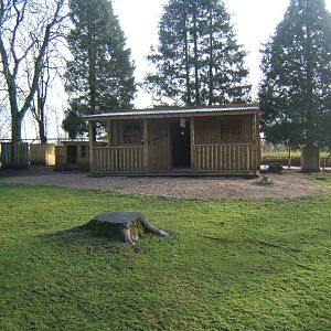 View in Wallaby Walkabout enclosure