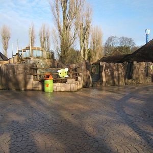 View of Asian Short-clawed Otter exhibit