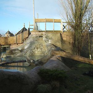 View of Asian Short-clawed Otter exhibit