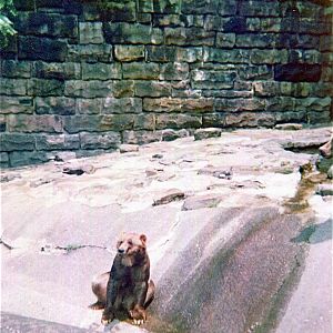 Pittsburgh zoo 1975/76