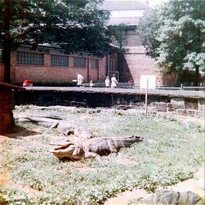 Pittsburgh zoo 1975/76