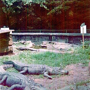 Pittsburgh zoo 1975/76